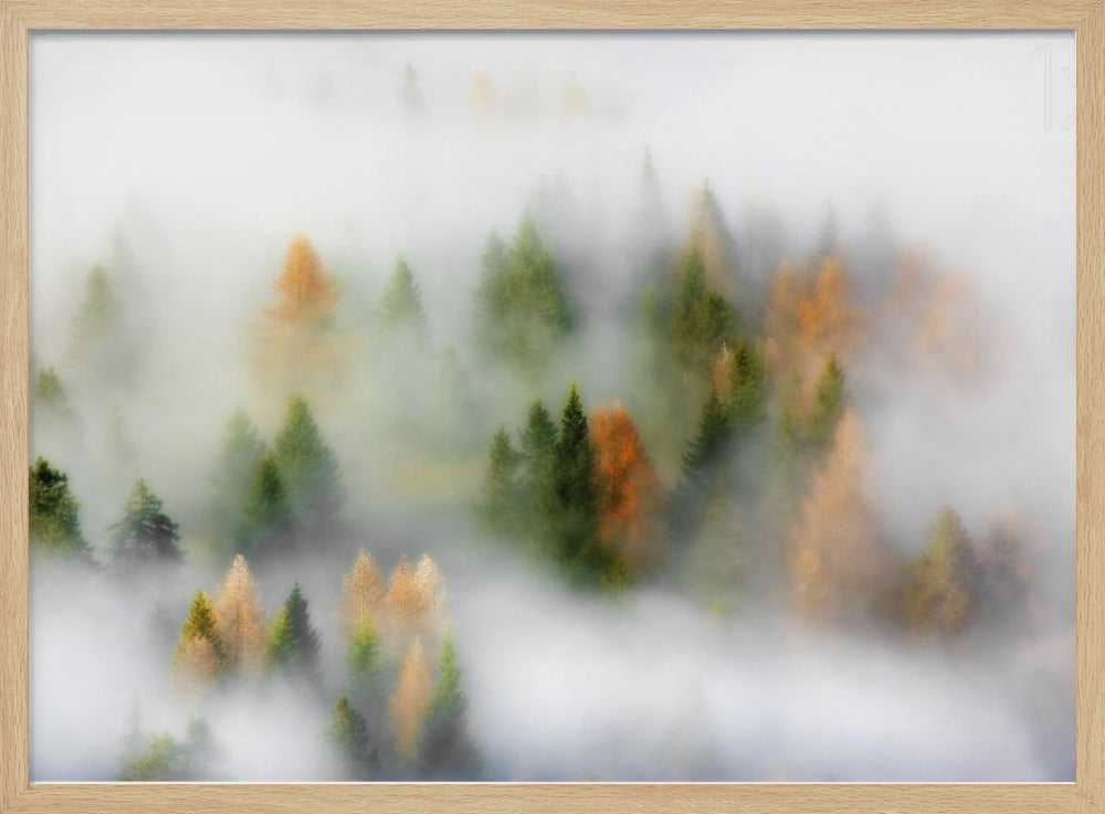 Sogno d'autunno | Poster - Stampe d’Arte