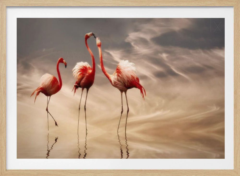 combattere ... | Poster - Stampe d’Arte