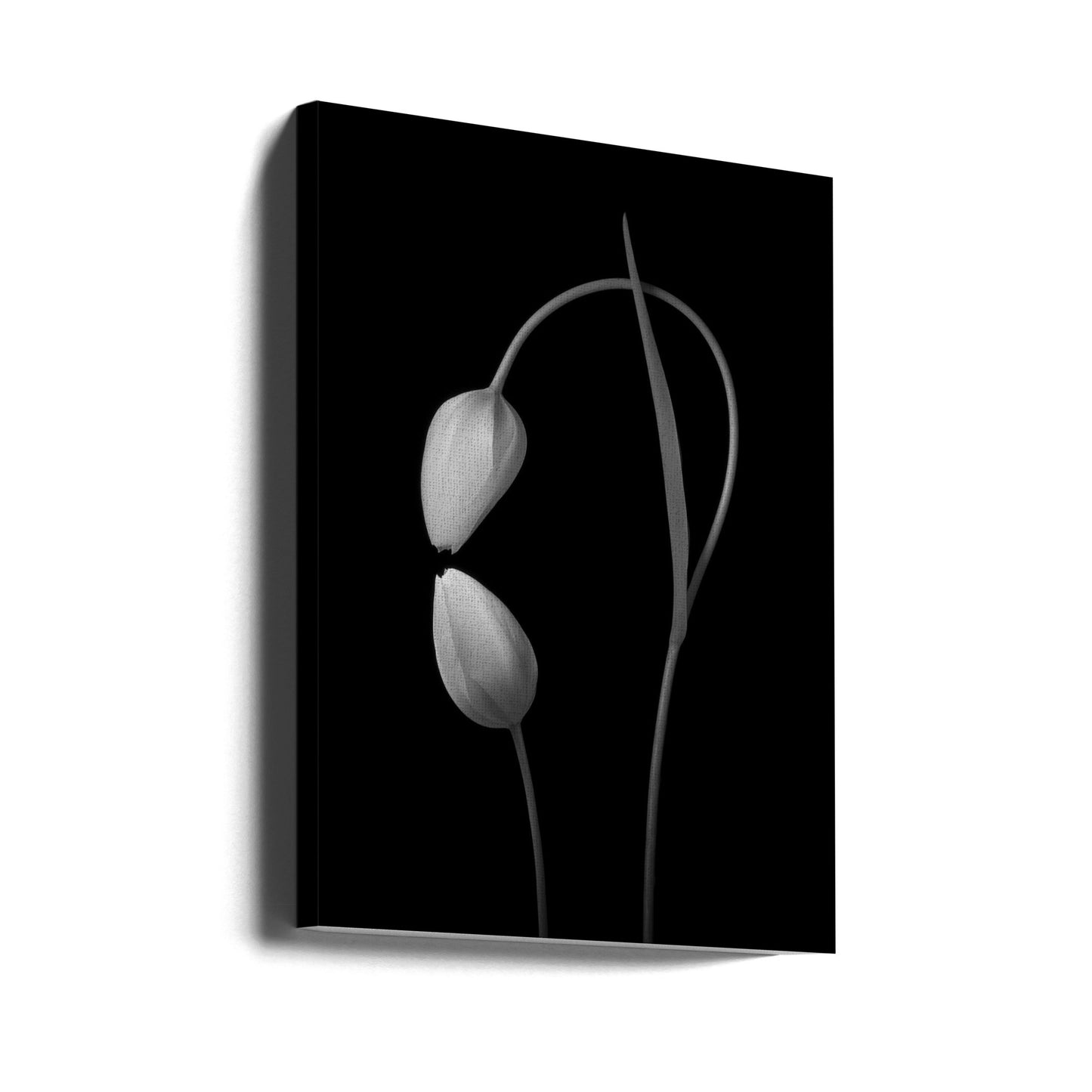 Kärlek | Canvas