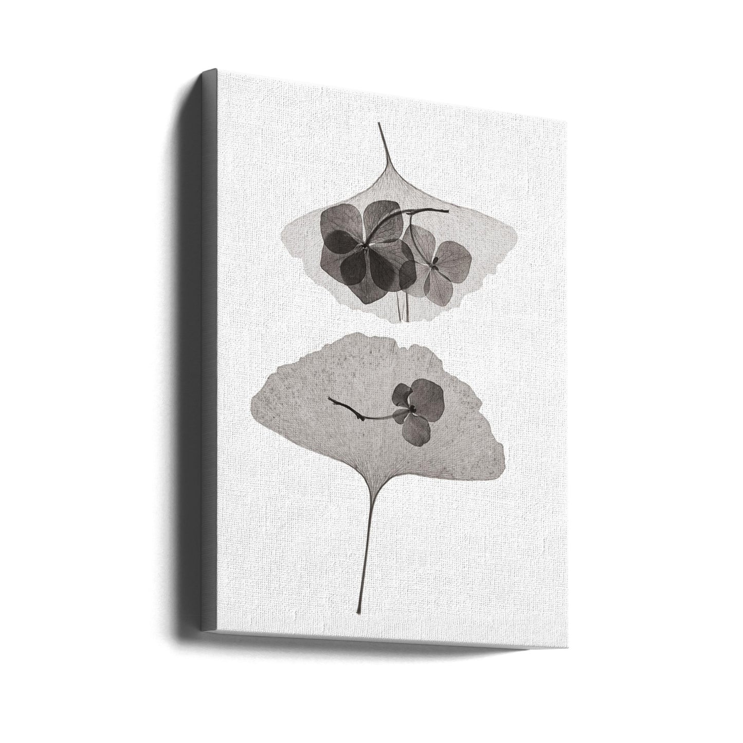 Botanical #35 | Canvas