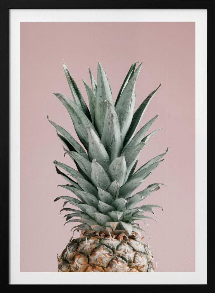 Pineapple Pink 02 | Poster