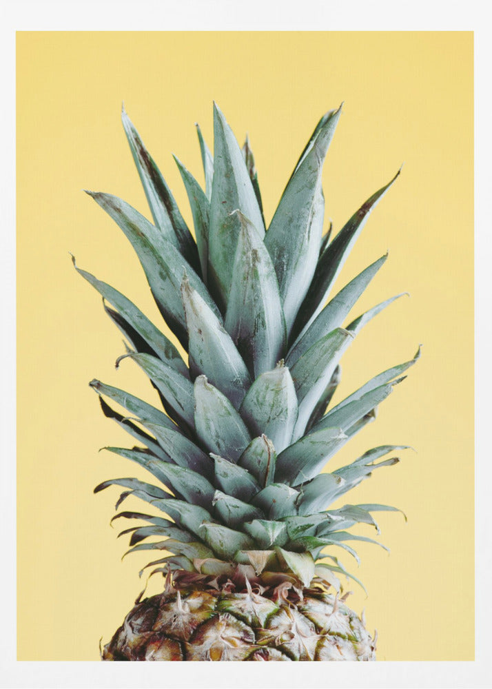 Ananas Jaune 03 | Posters - Affiche Artistique