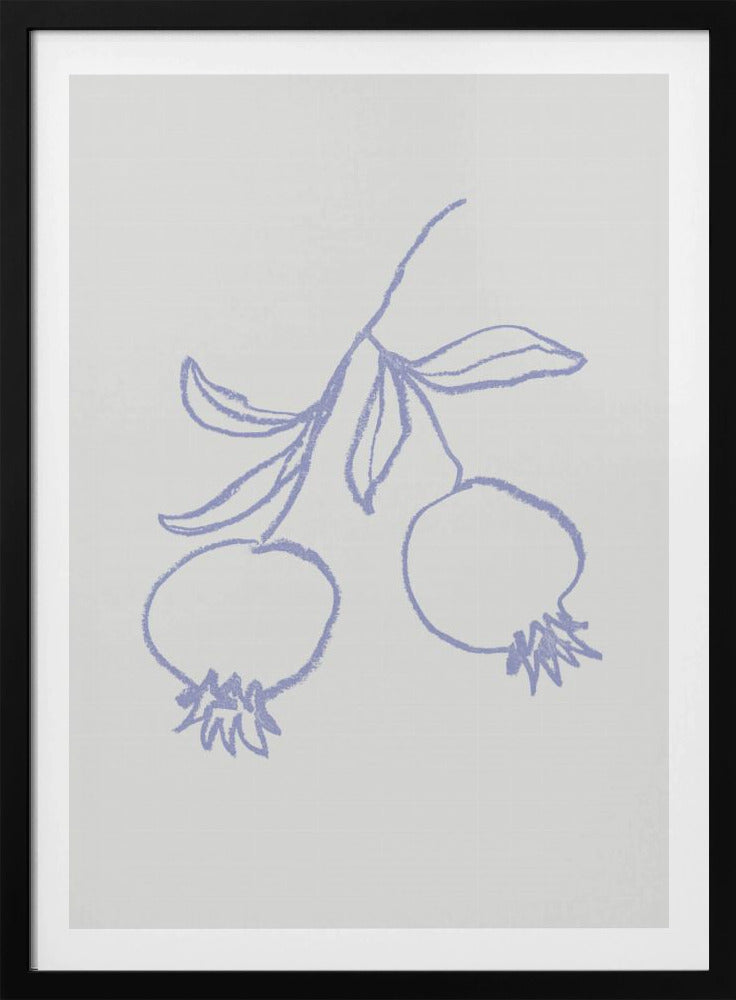 Pomegranate Lilac | Poster