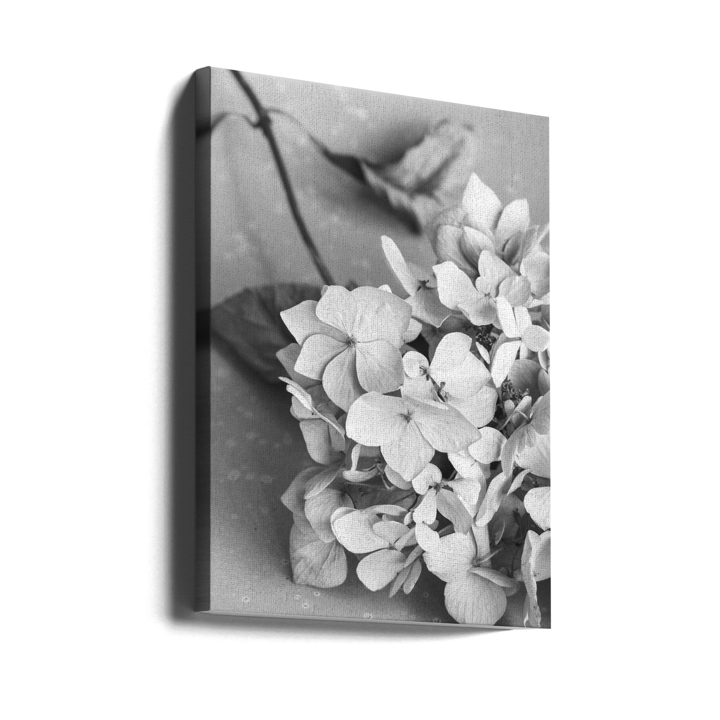 Piatto con fiori secchi_bianco e nero | Stampe su Tela
