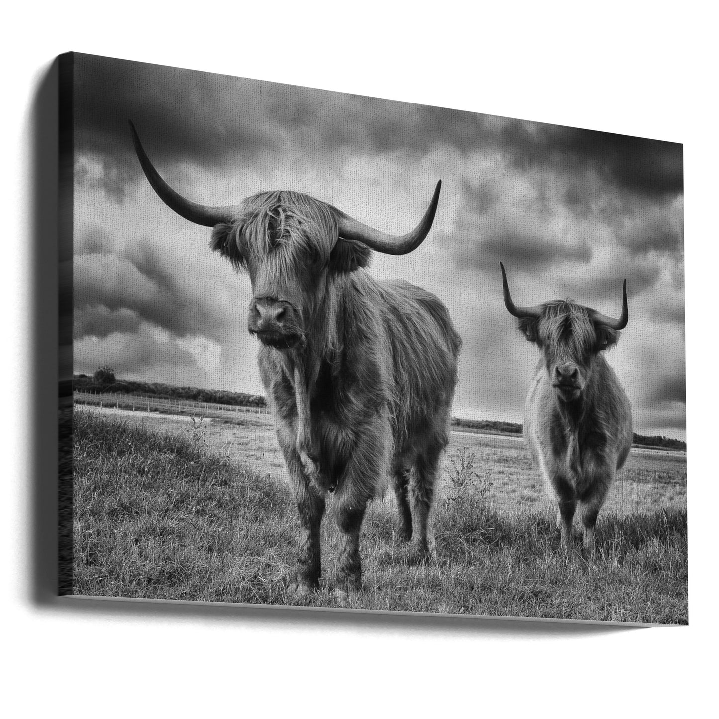 Highlands | Canvas