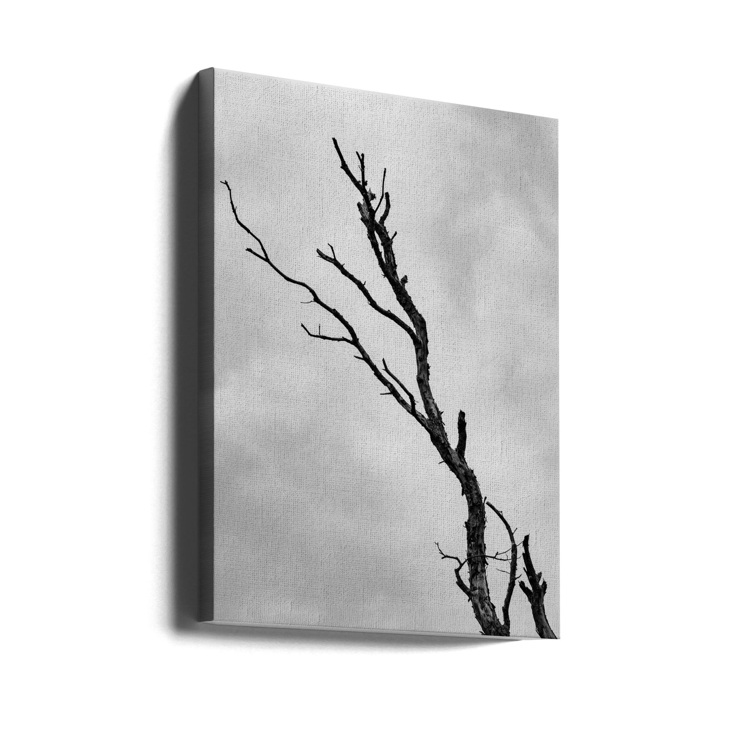 I'm not leaving without a fight | Canvas