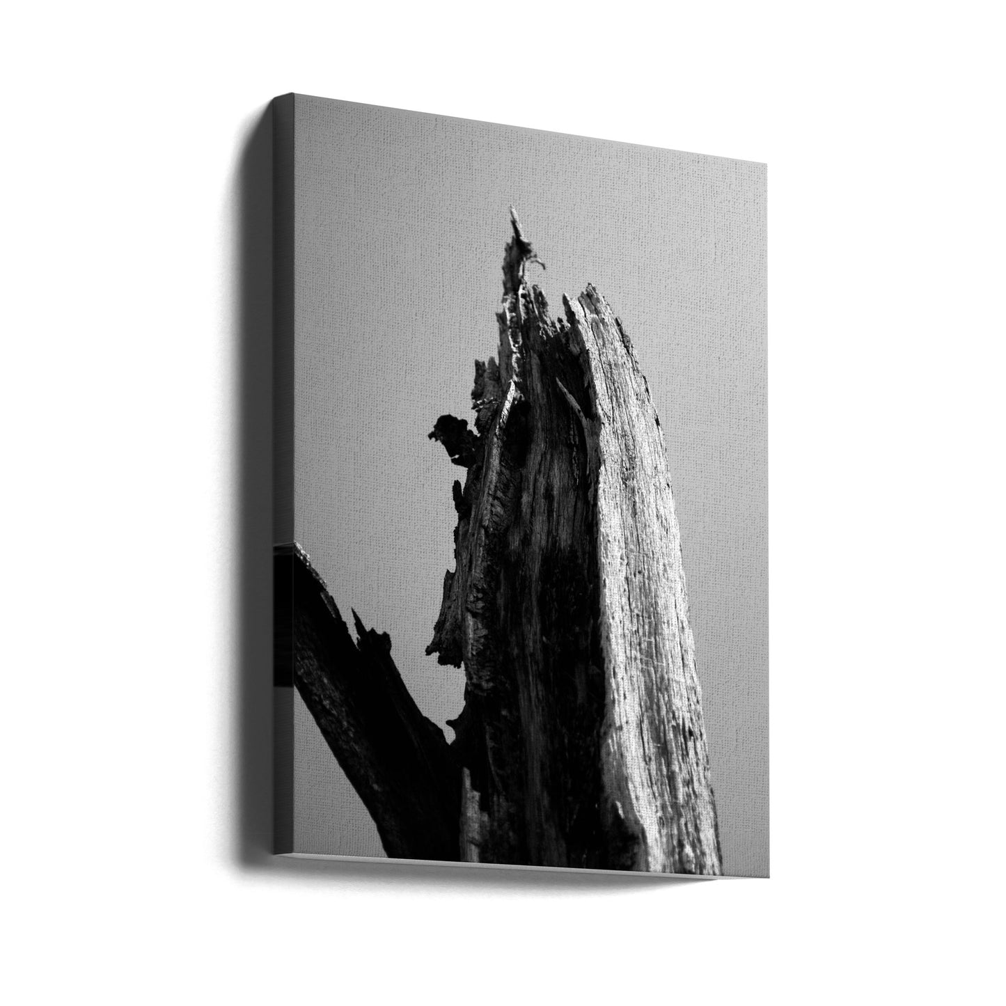 Feuchtgebiete 1 | Leinwand-Bilder