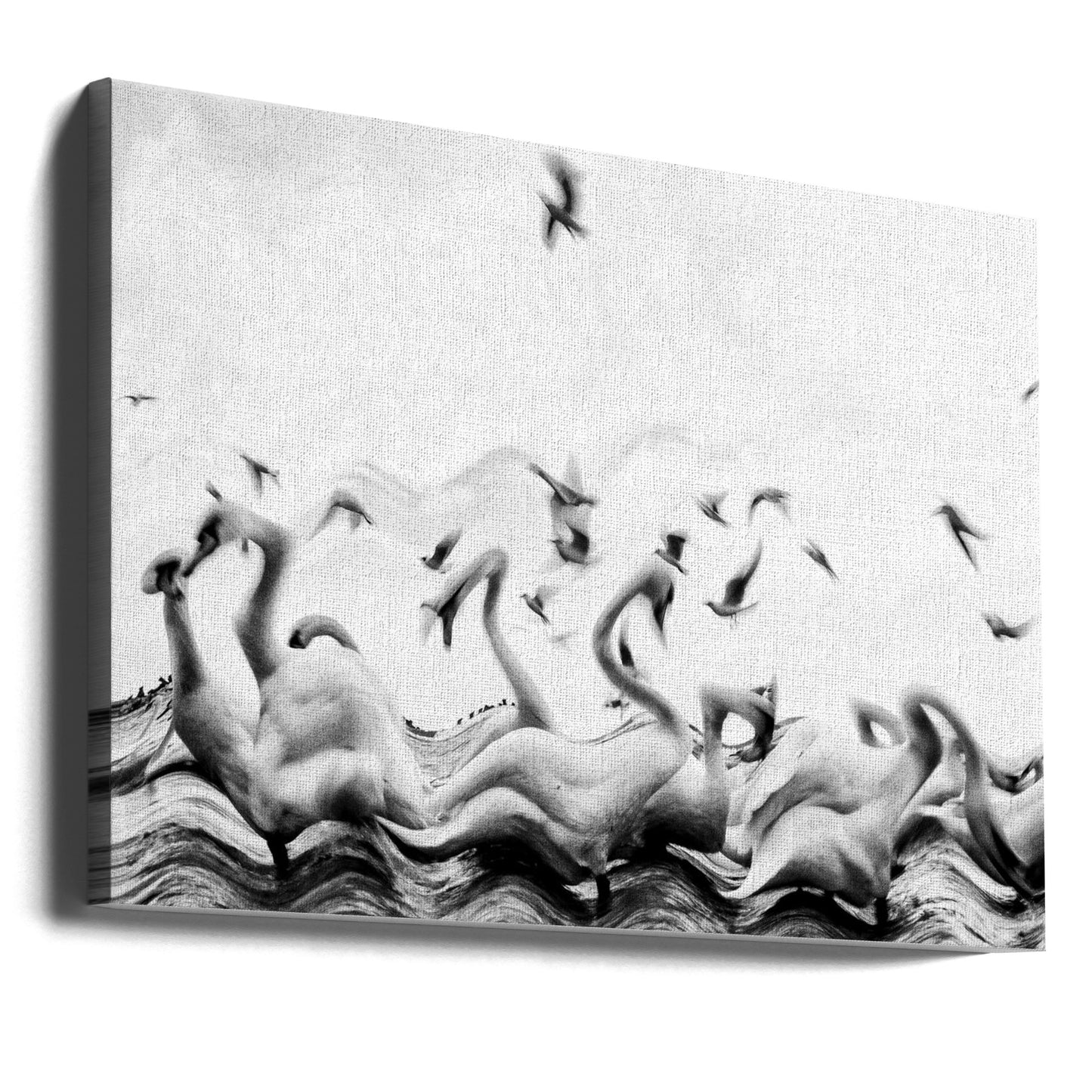 Onde di cigni | Stampe su Tela