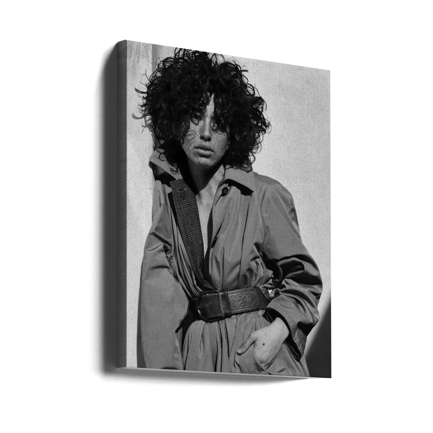 Lux | Canvas