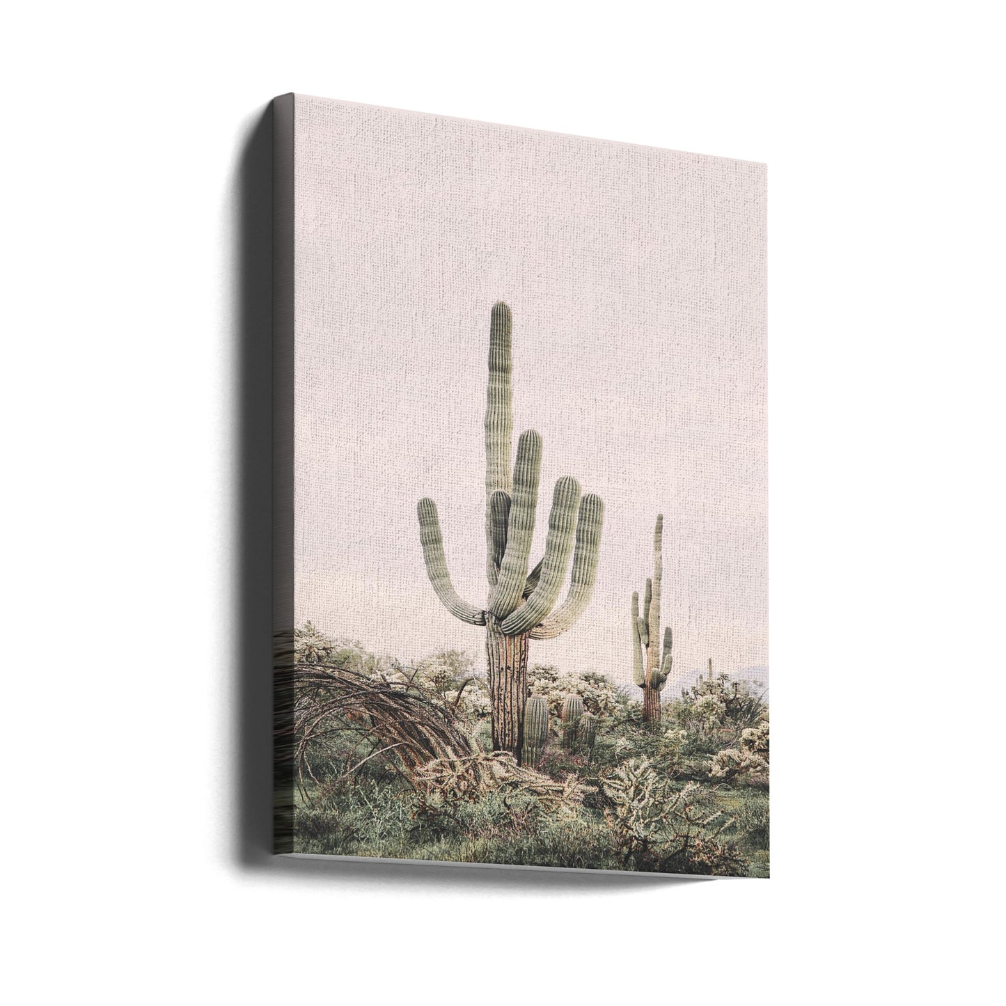Lyserød Saguaro | Lærredsbilleder