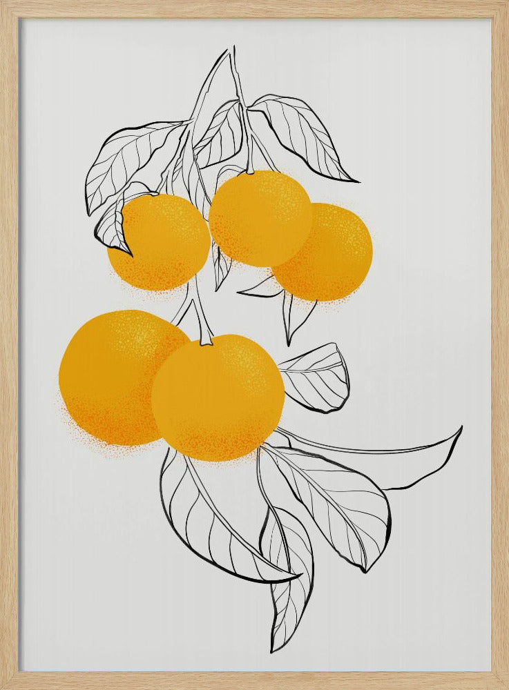 Arance Mabel | Poster - Stampe d’Arte