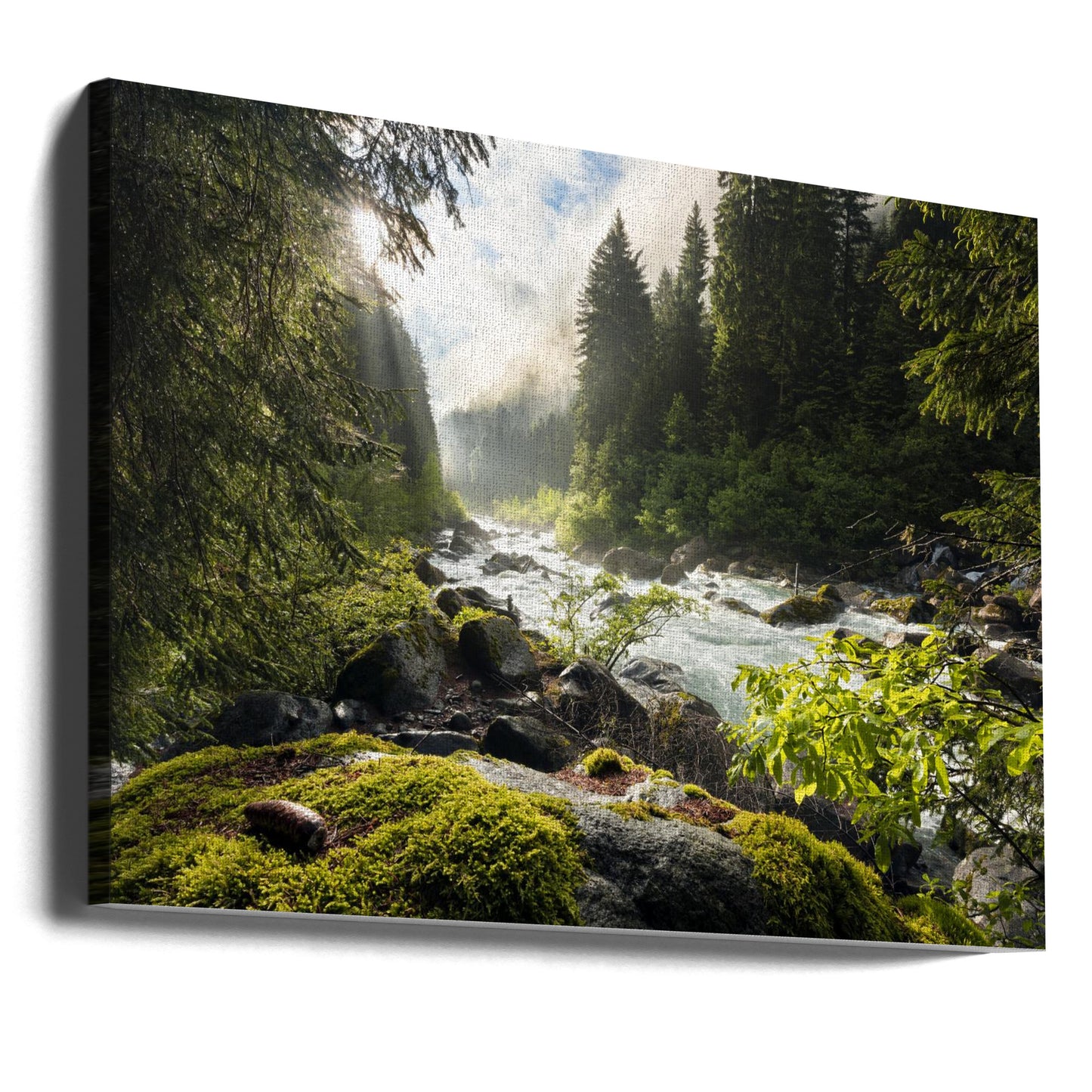 Spring Break | Canvas