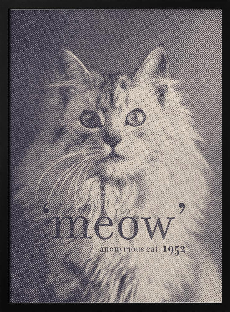 Cita famosa Gato | Posters  - Impresiones de Arte