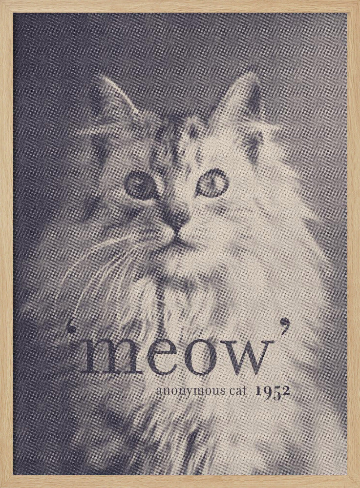 Cita famosa Gato | Posters  - Impresiones de Arte
