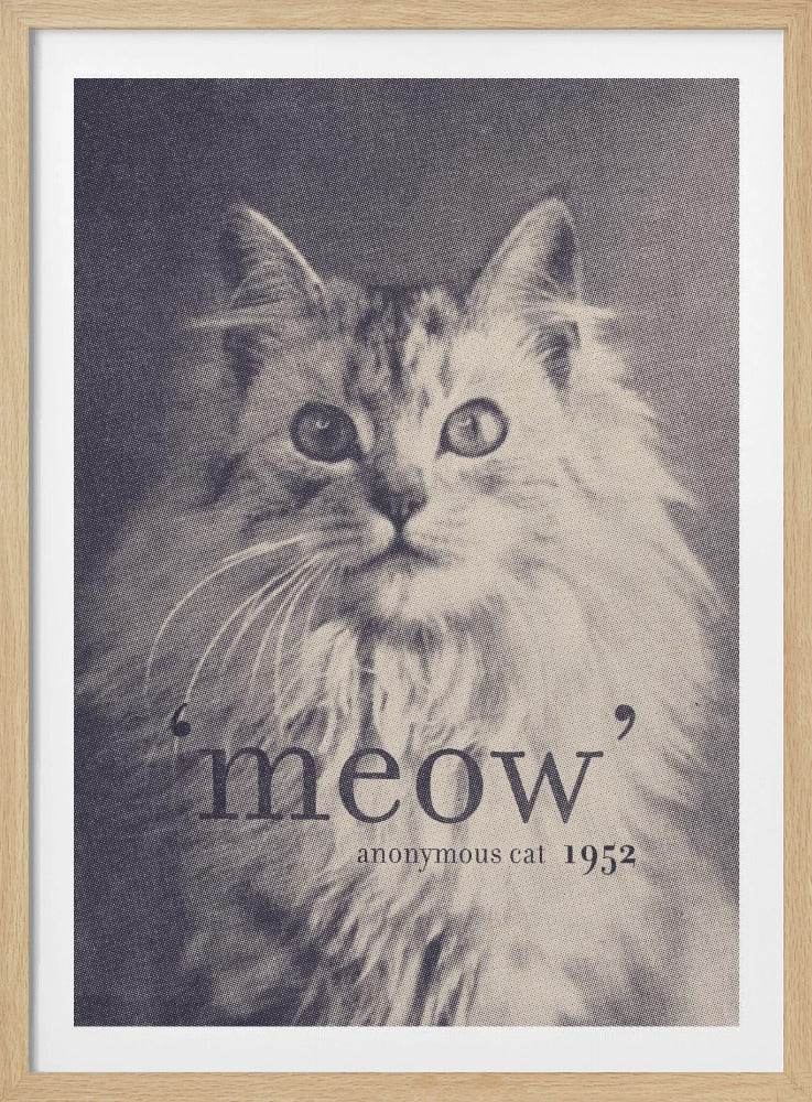 Cita famosa Gato | Posters  - Impresiones de Arte