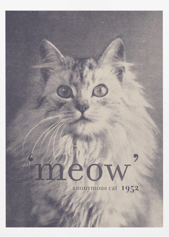 Cita famosa Gato | Posters  - Impresiones de Arte