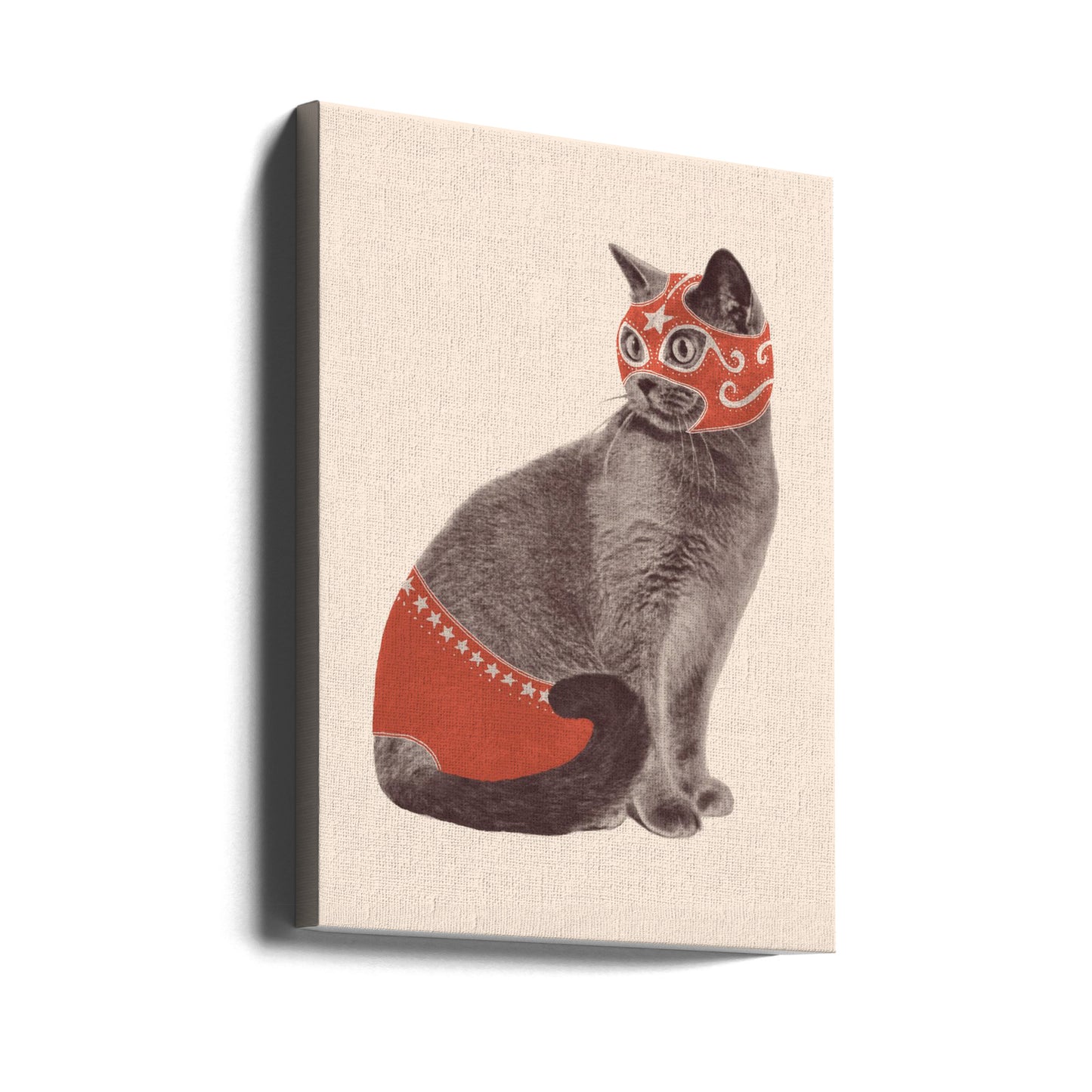 Chat Catcheur | Canvas