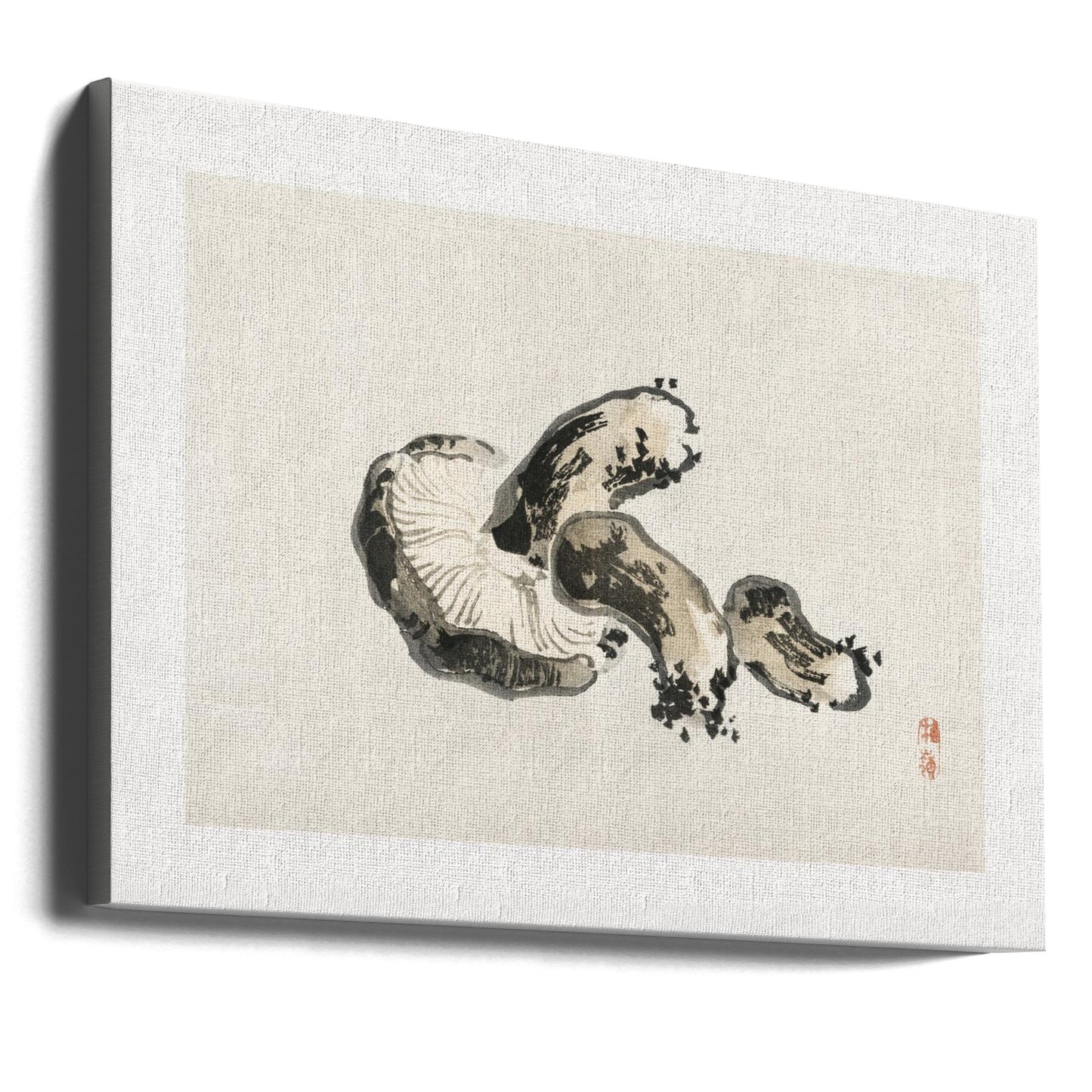 Shiitake-Pilz | Leinwand-Bilder
