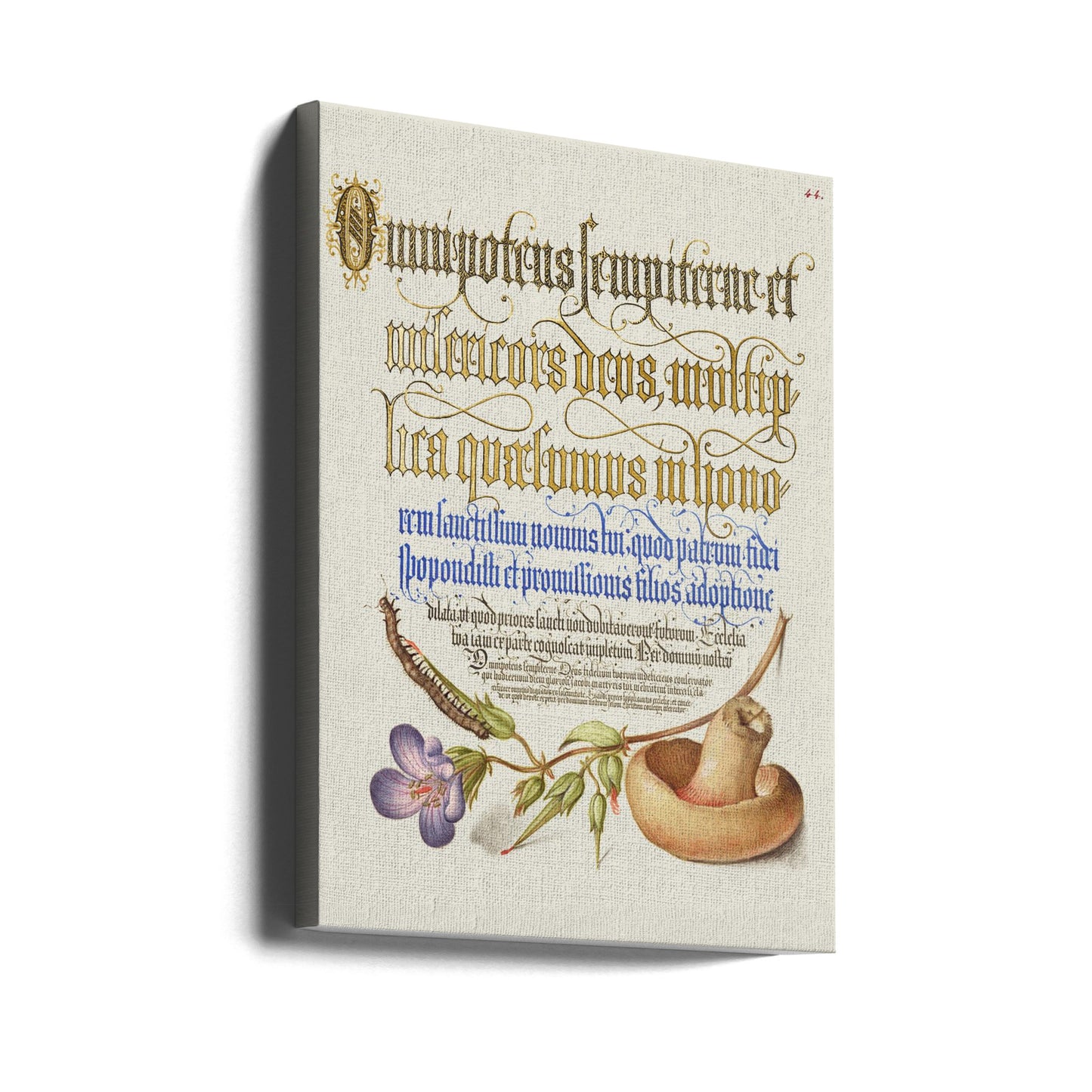 Fungo Poster - Stampe d’Arte | Stampe su Tela
