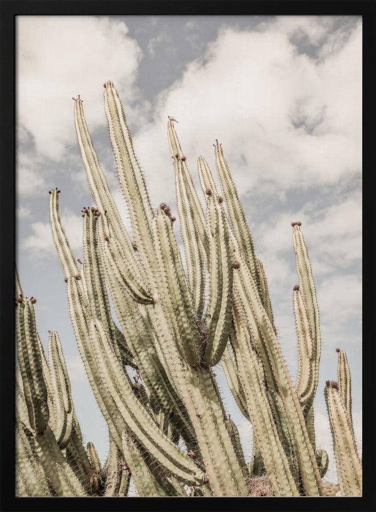 Desert Cathedral | Poster