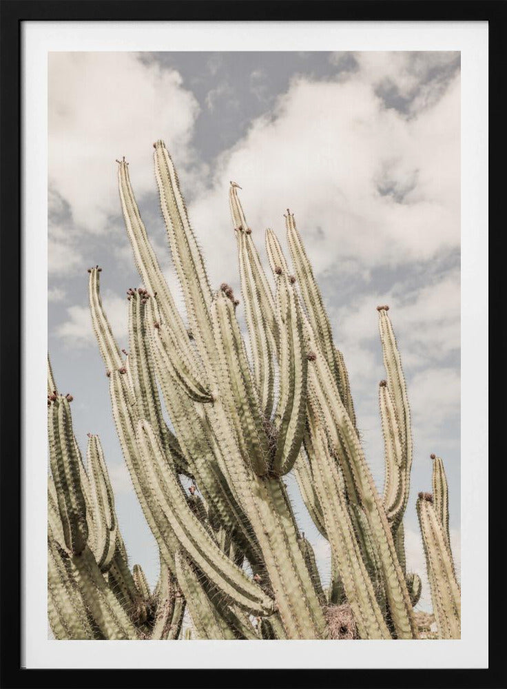 Desert Cathedral | Poster