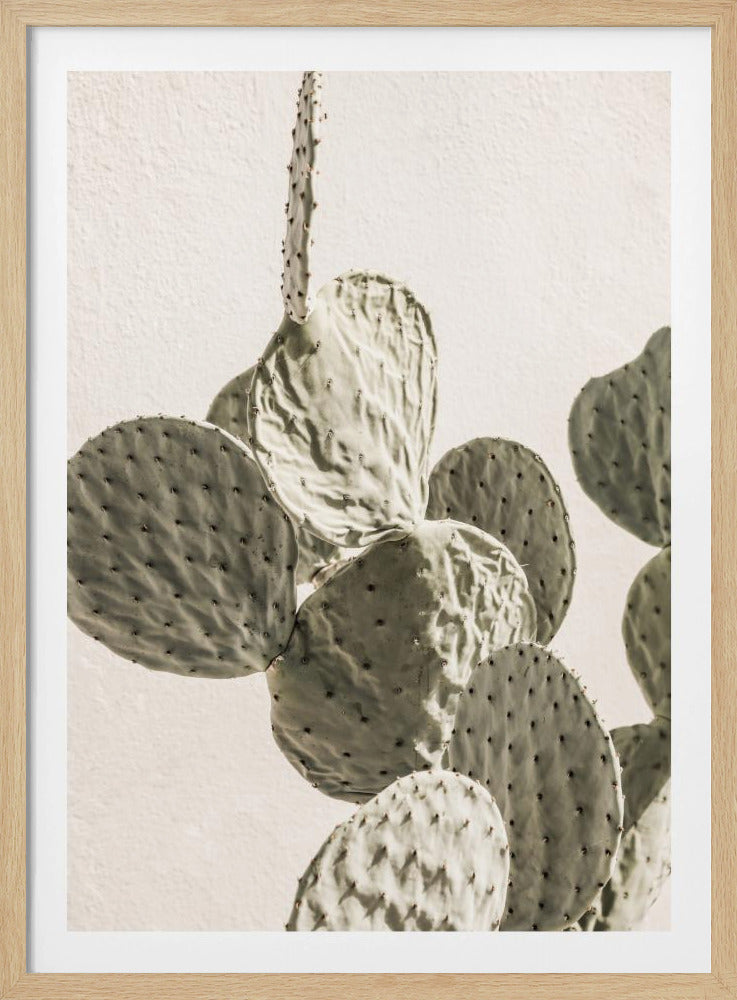 Mexi Catus 02 | Poster