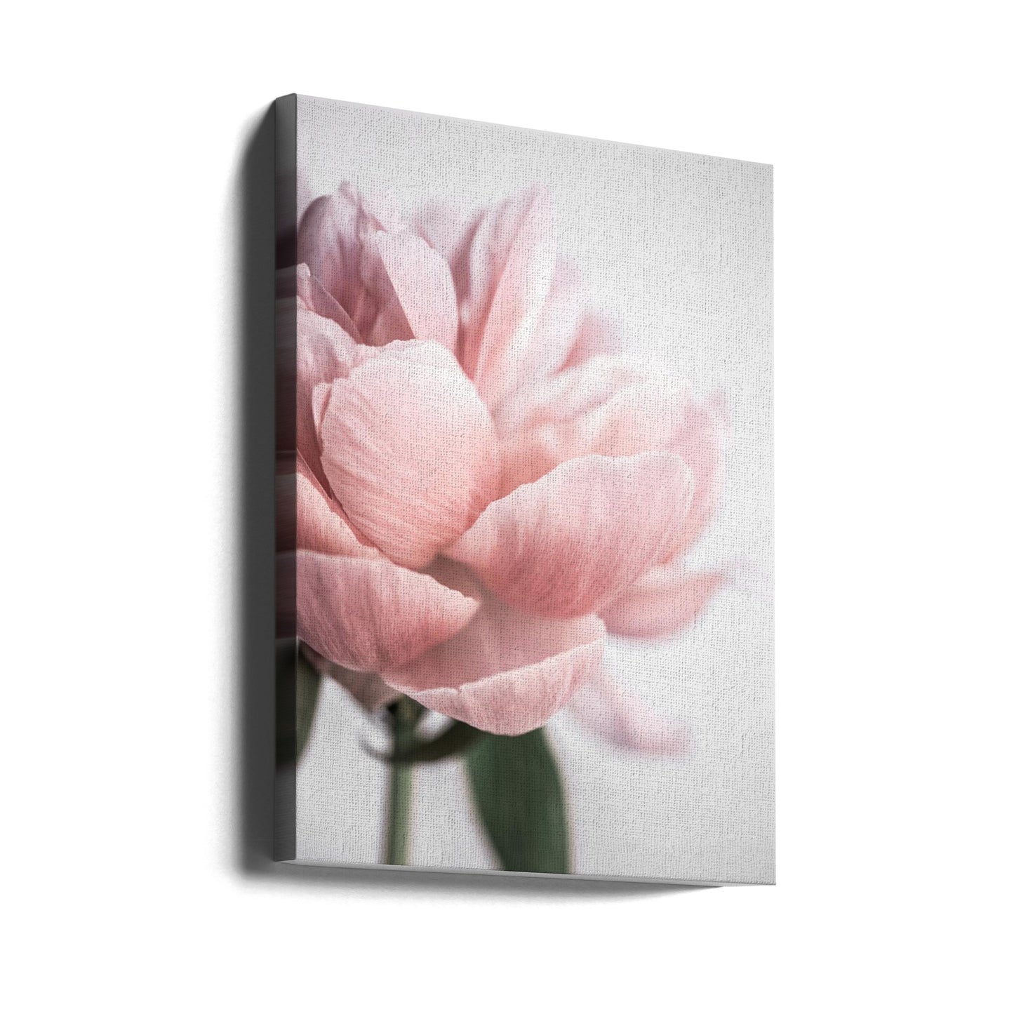 Pion 3 | Canvas