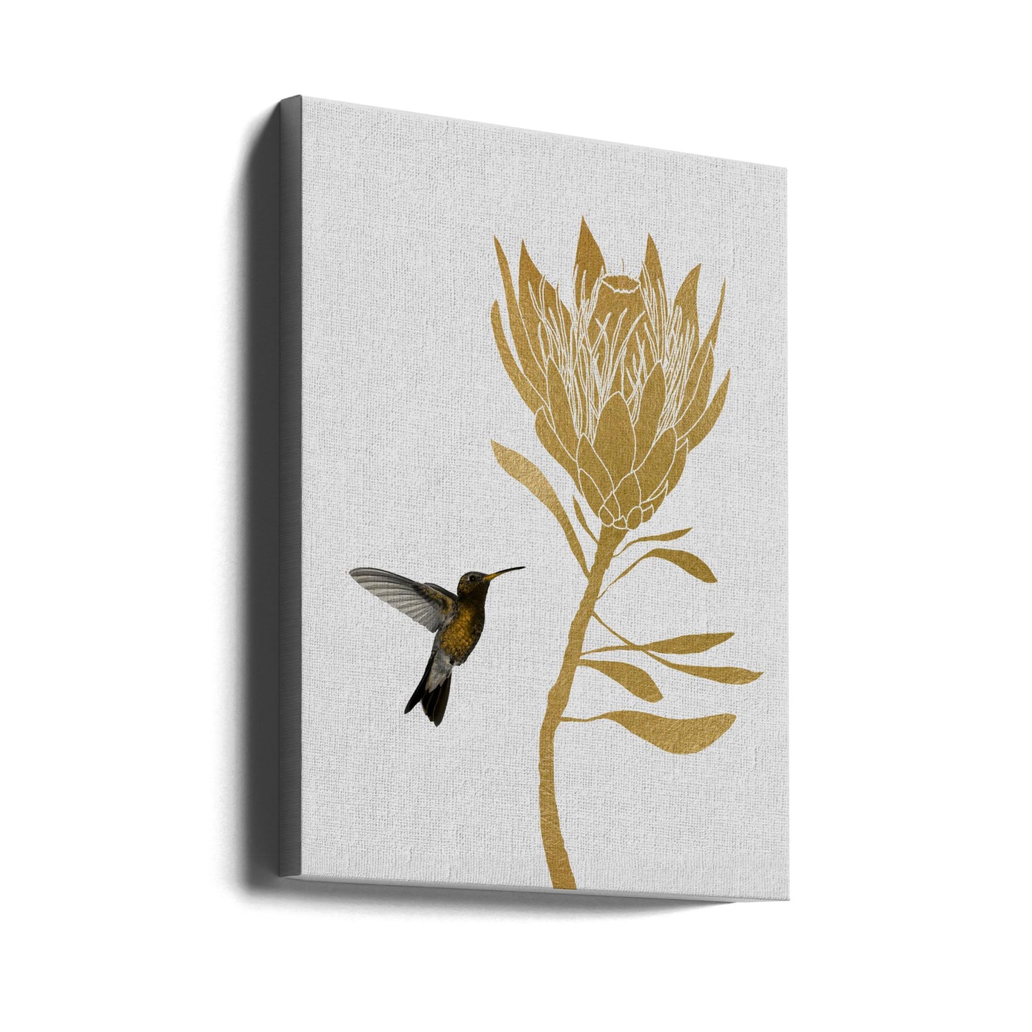 Colibri et fleur I | Tableaux sur Toile