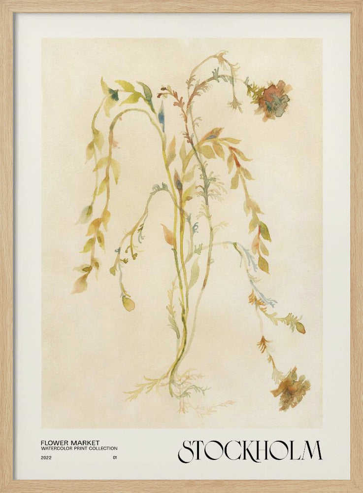Akvarelltrycksamling. Blomstermarknad - Stockholm | Poster
