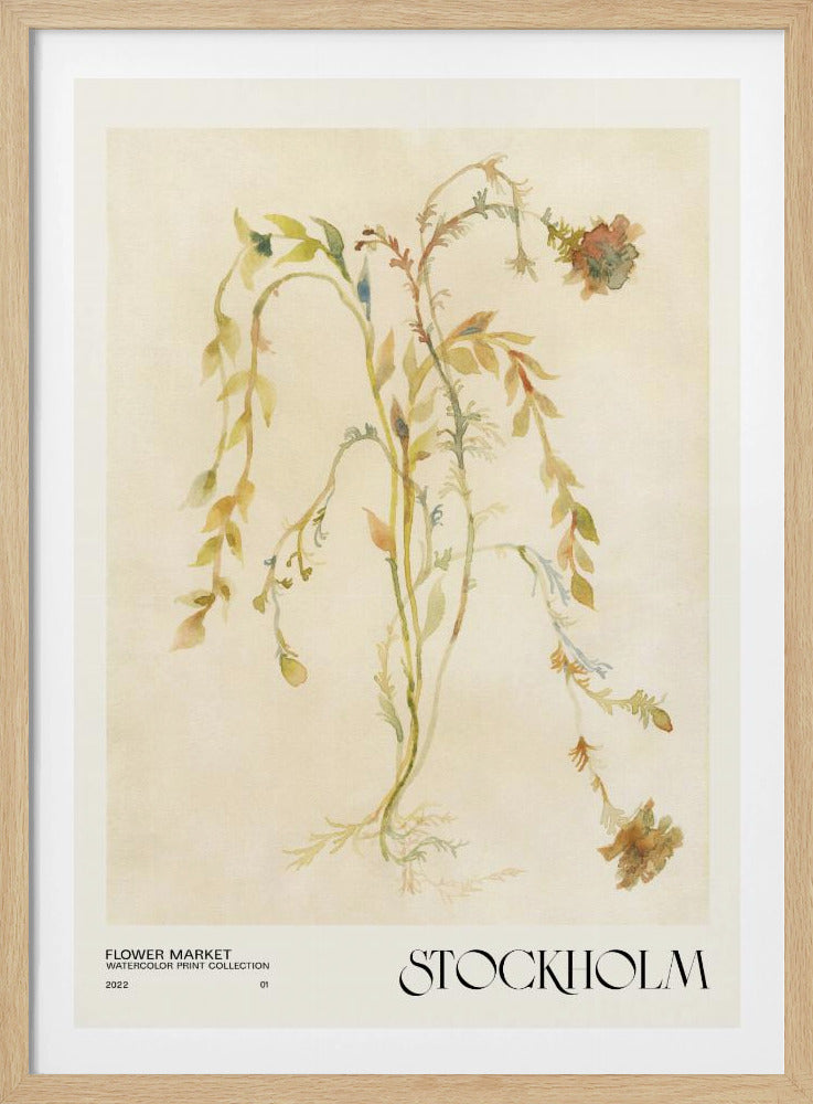 Akvarelltrycksamling. Blomstermarknad - Stockholm | Poster