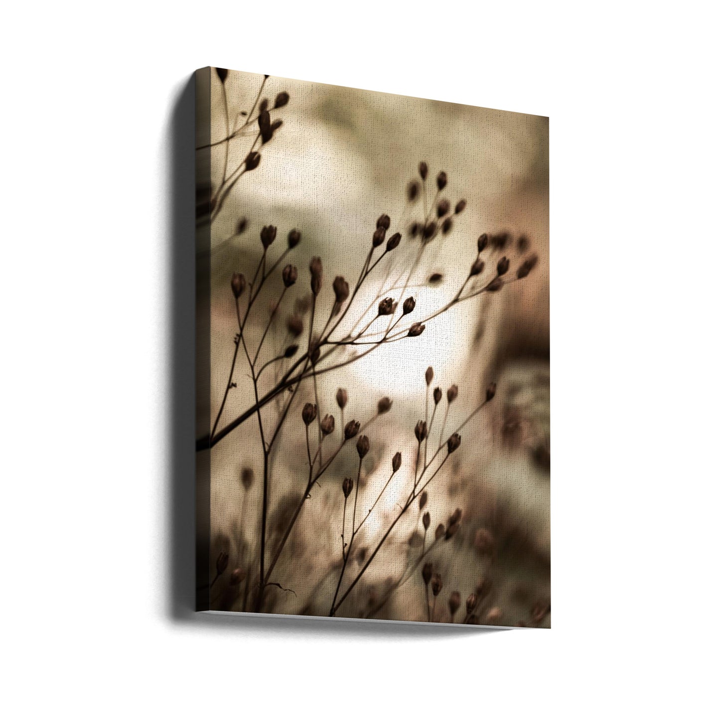 Höstljus | Canvas