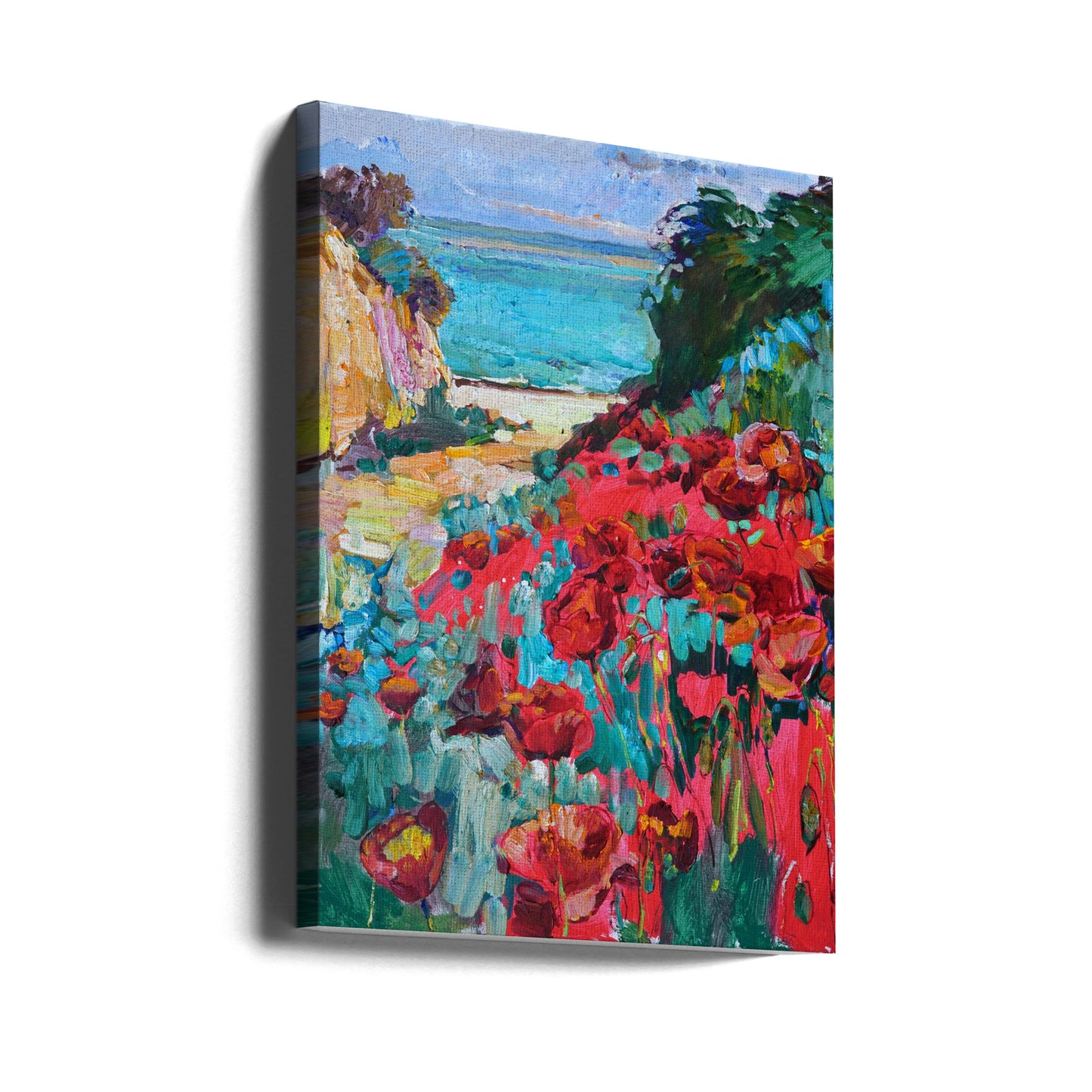 Vallmo | Canvas
