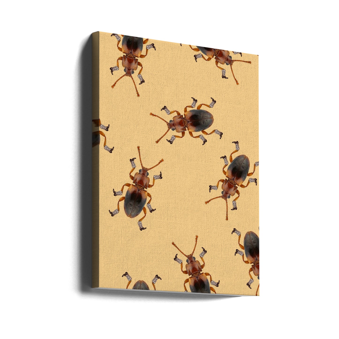 Billy The Booted Beetle | Canvas