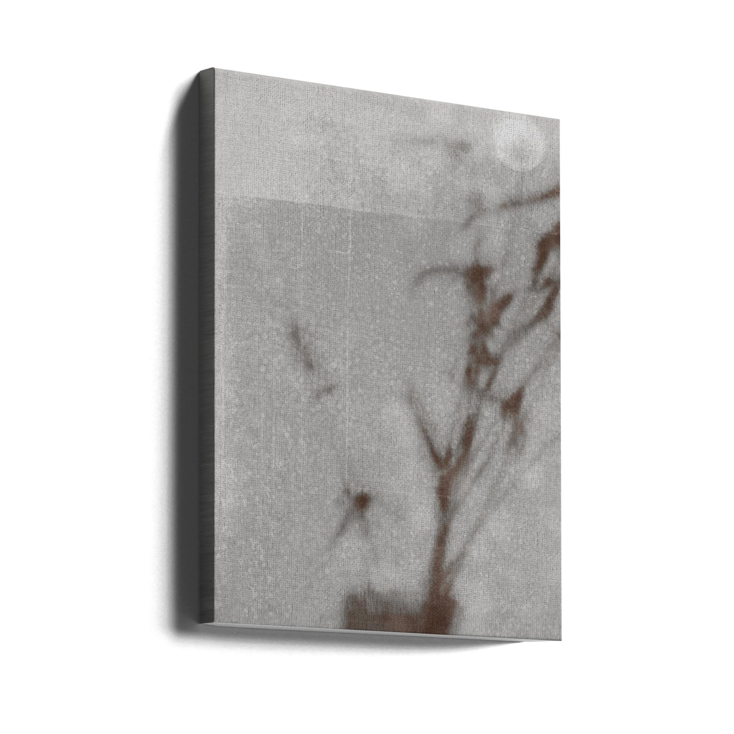 Silhouette botanique | Tableaux sur Toile
