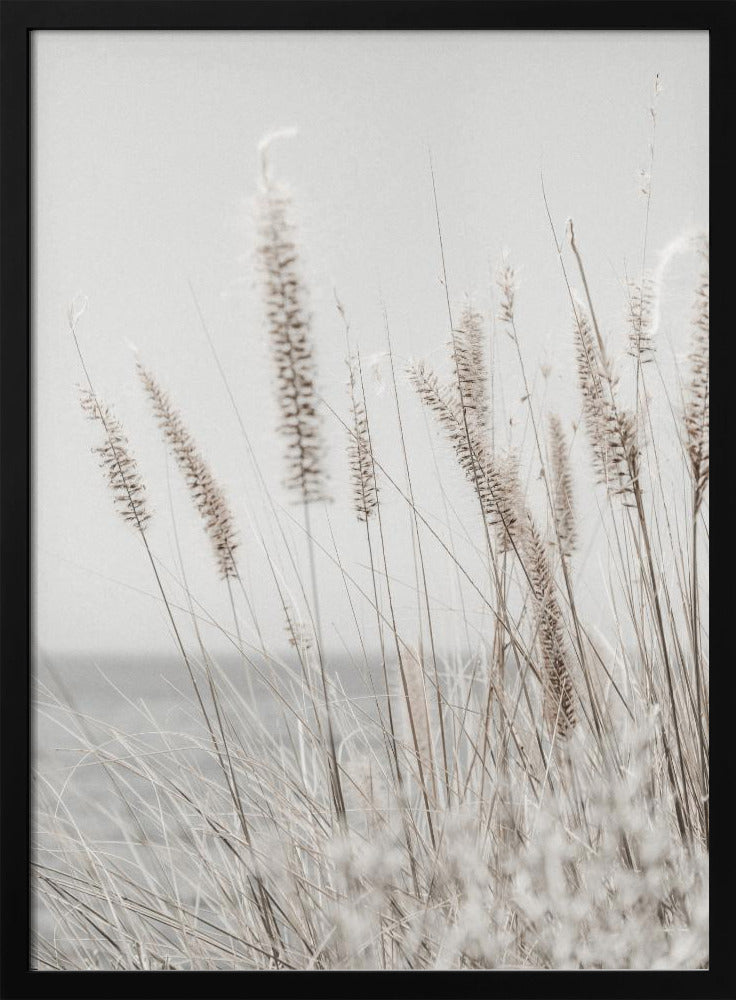 Grass | Poster