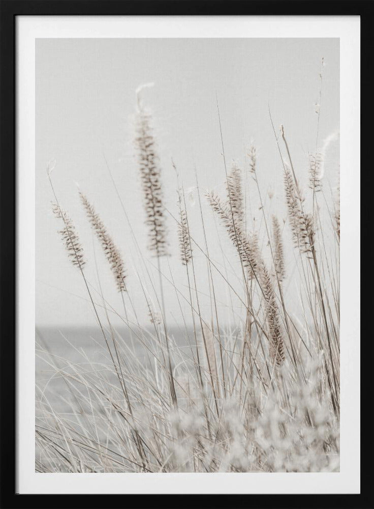 Grass | Poster