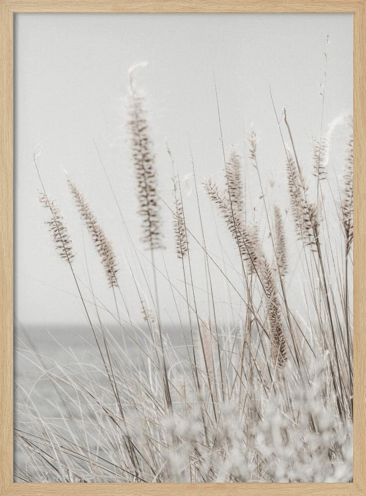 Grass | Poster