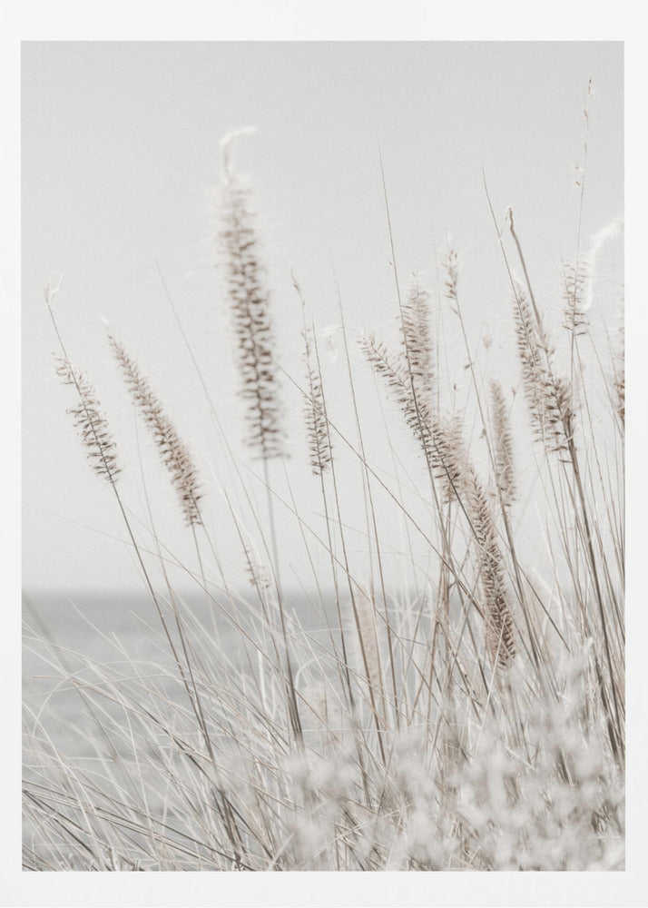 Grass | Poster