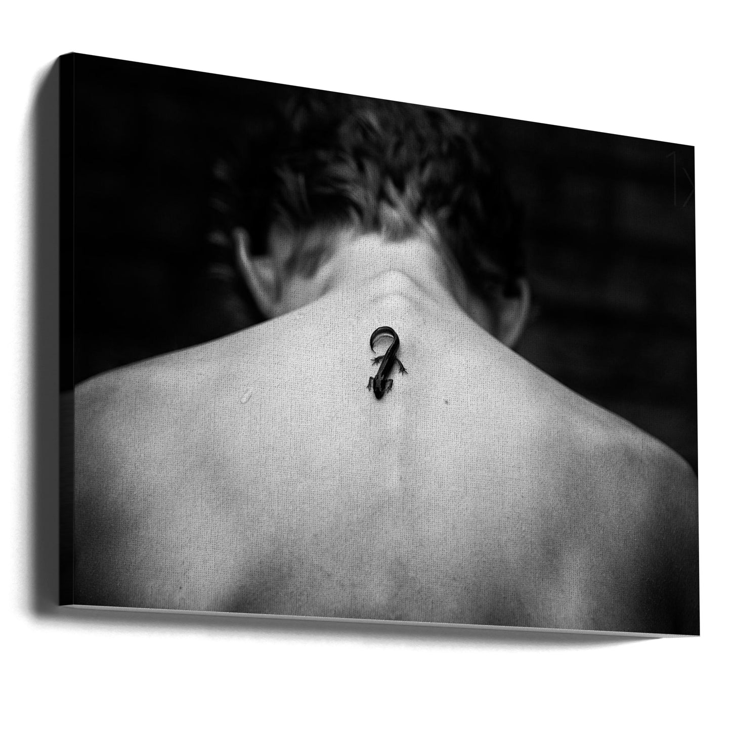 Je veux être tatoué | Tableaux sur Toile