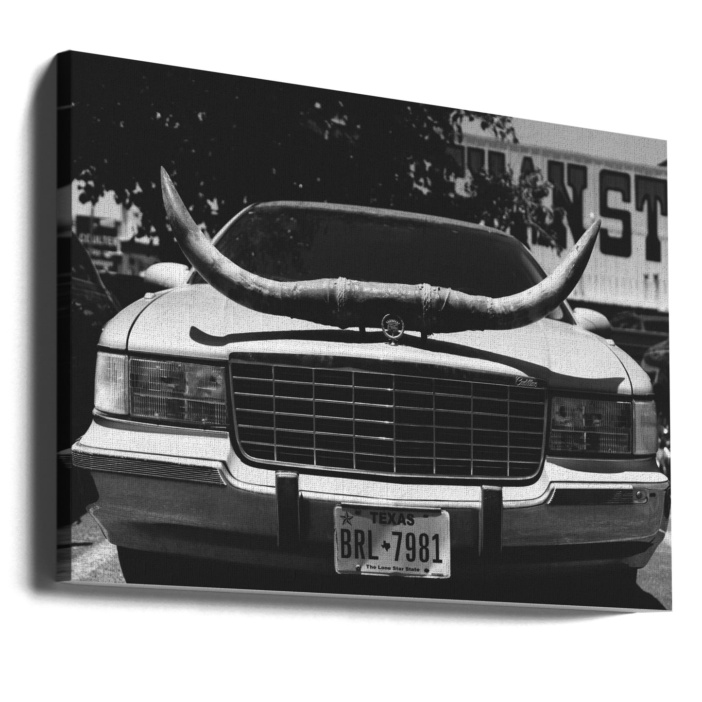 Texas Ride | Canvas