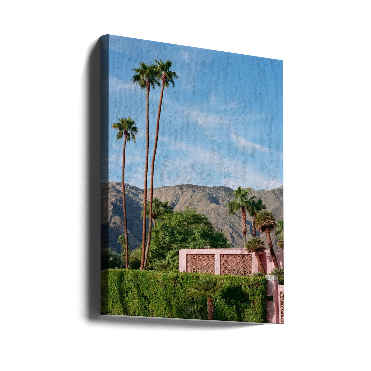 Palm Springs rosa hus | Canvas