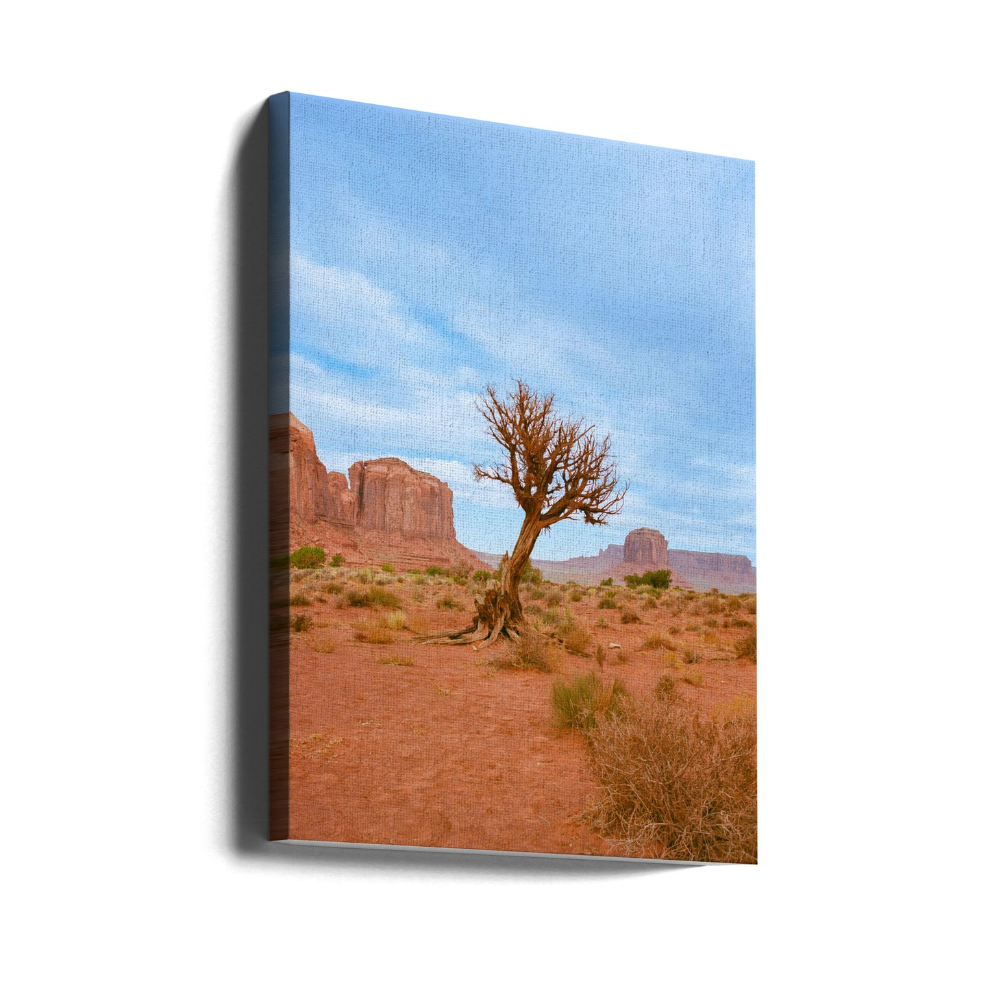Monument Valley XI | Leinwand-Bilder