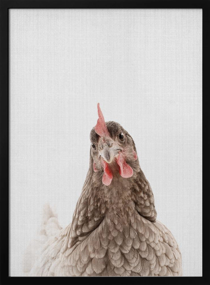 Peekaboo Chook | Poster