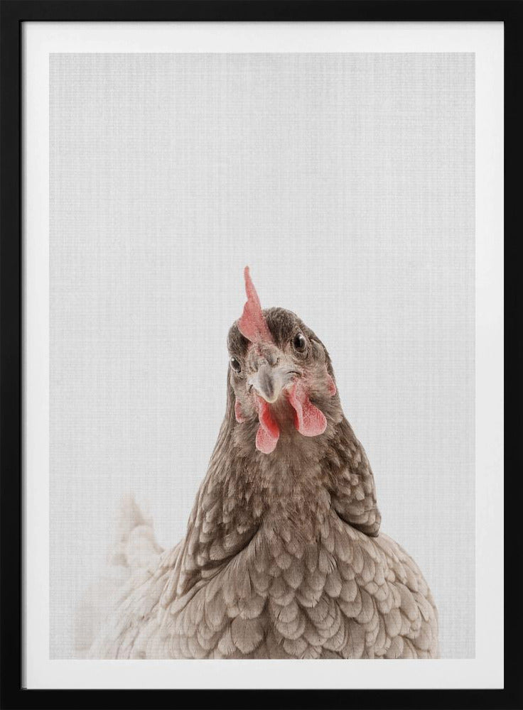 Peekaboo Chook | Poster