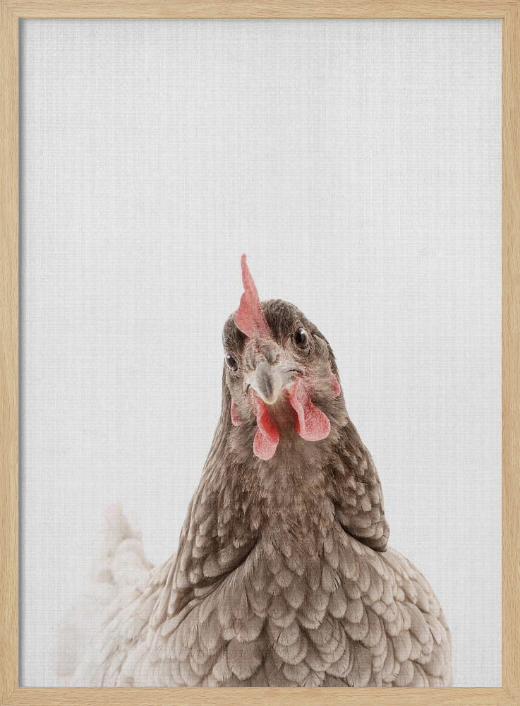 Peekaboo Chook | Poster