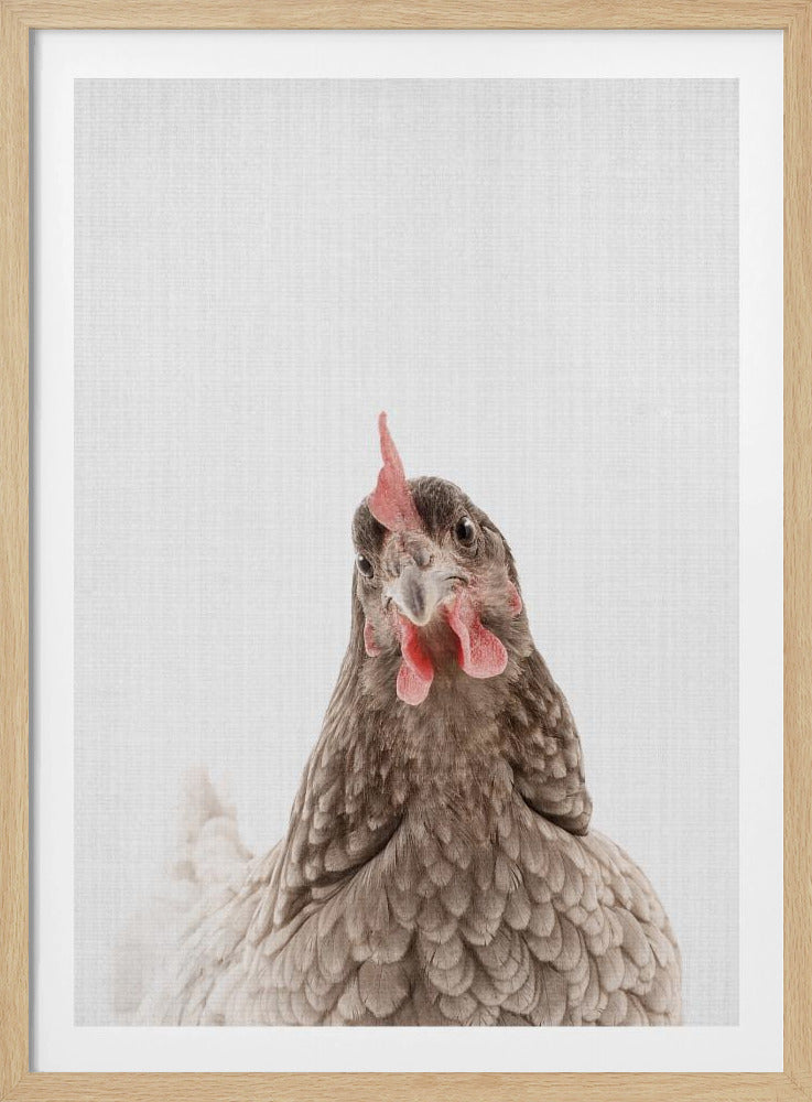 Peekaboo Chook | Poster