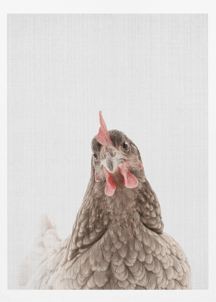 Peekaboo Chook | Poster