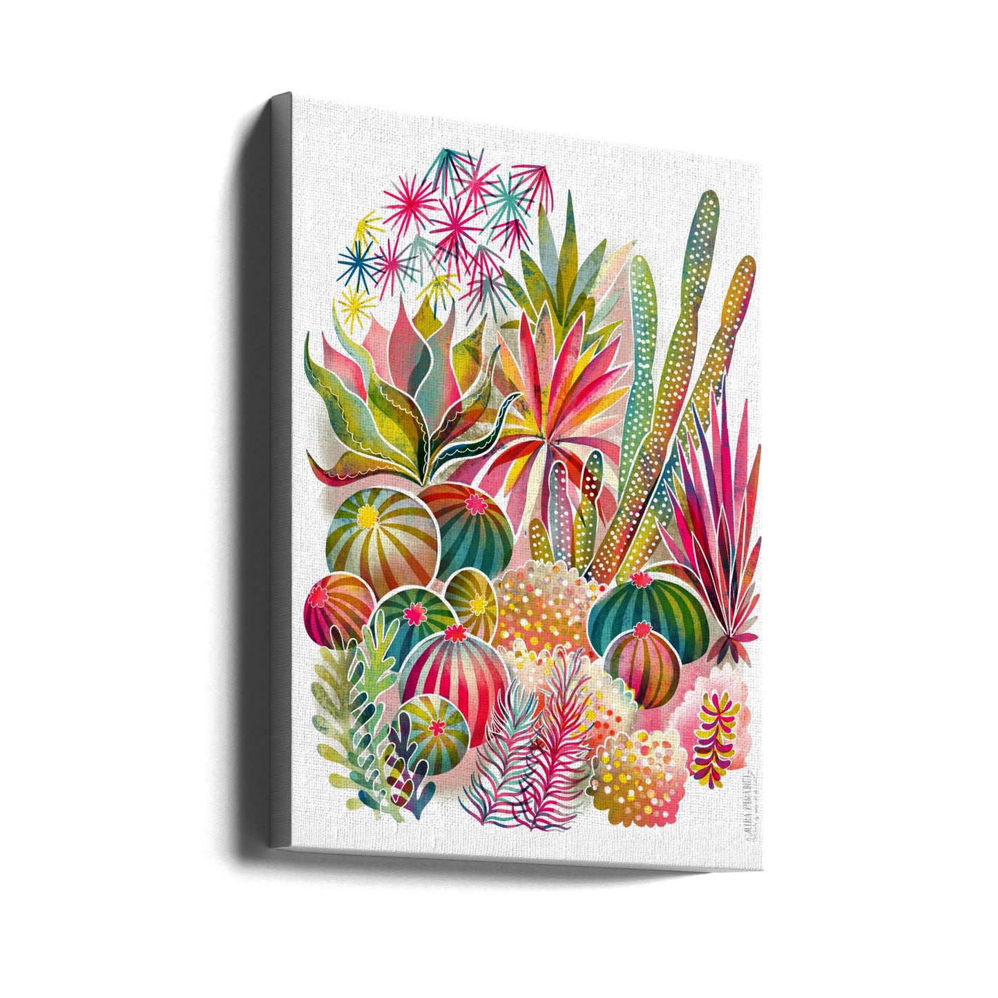 Giardino di cactus e piante grasse fiorite | Stampe su Tela