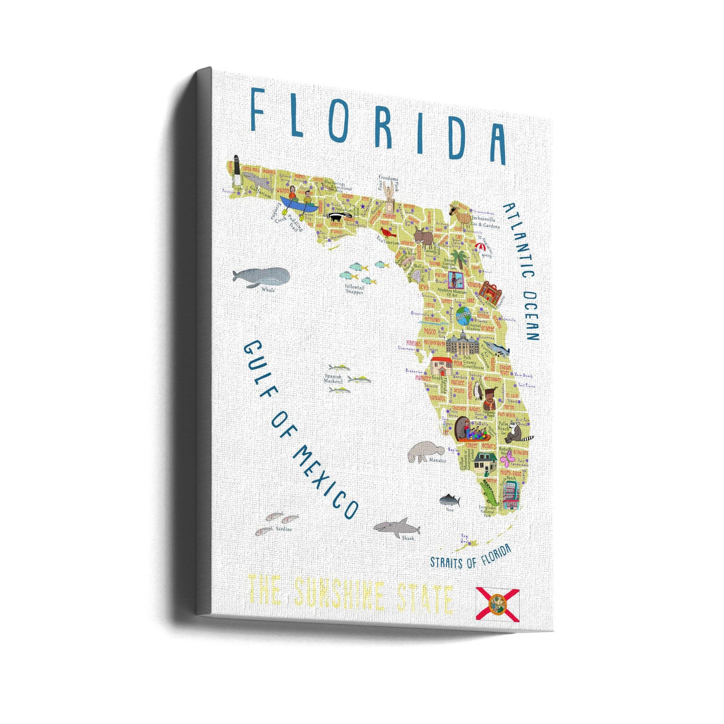 Illustrerad karta över Florida av konstnären Carla Daly | Canvas