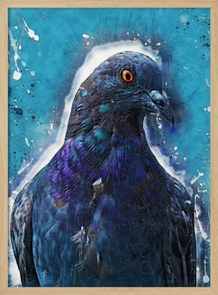 Djur Duva Fågel Akvarell Djurkonst | Poster